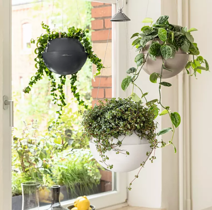 Lechuza Bola Hanging Planter