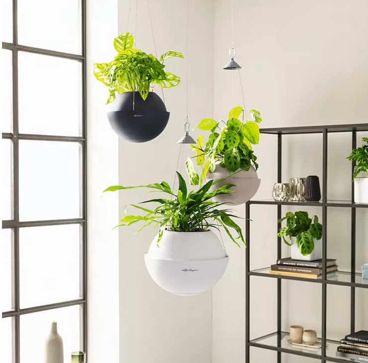 Lechuza Bola Hanging Planter