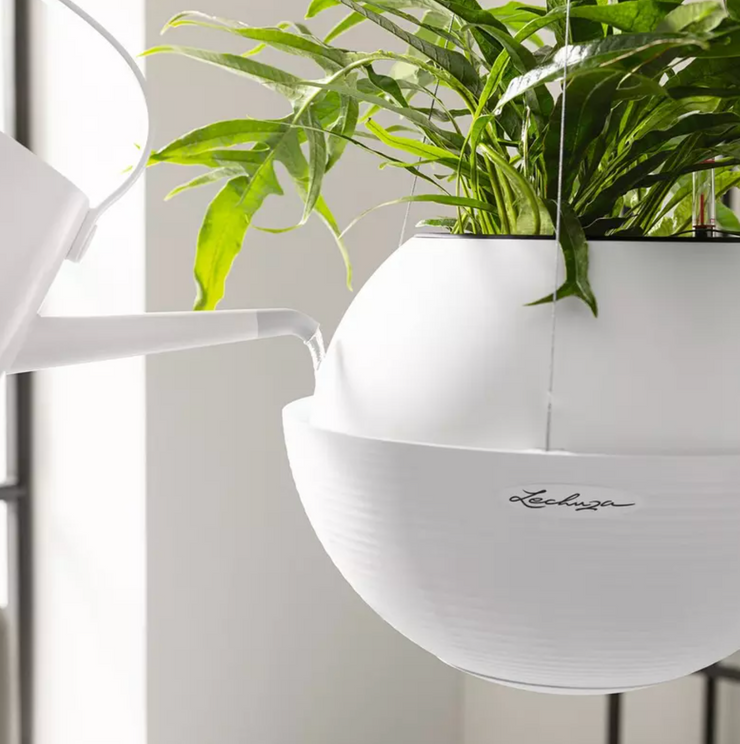 Lechuza Bola Hanging Planter